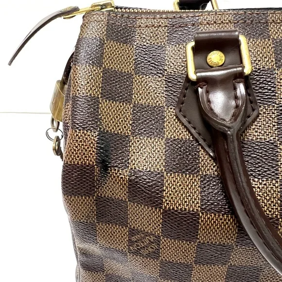 Louis Vuitton Speedy 25 Damier Ebene